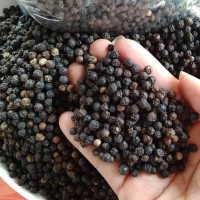 Black Peppercorn from Sri Lanka